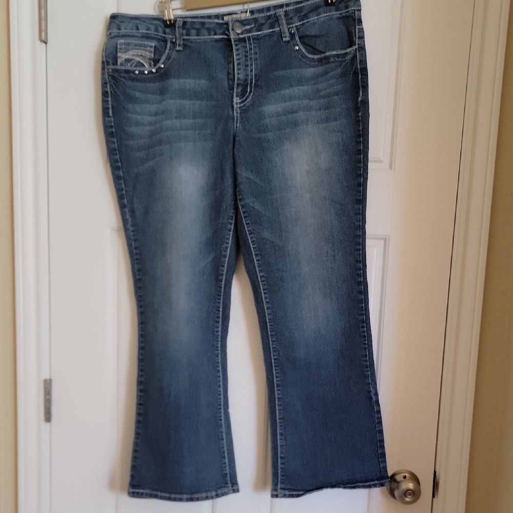 Earl Jeans Women's Flare Denim